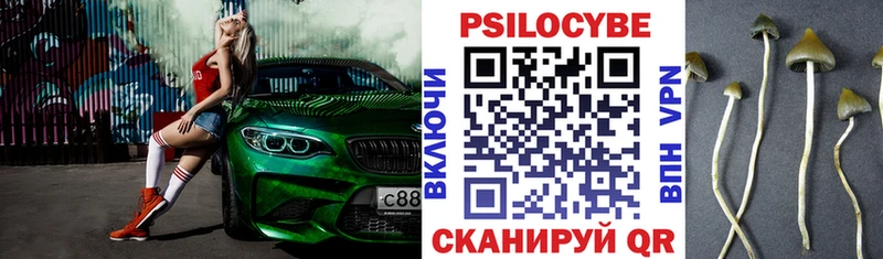 купить  цена  Тула  Псилоцибиновые грибы Psilocybe 